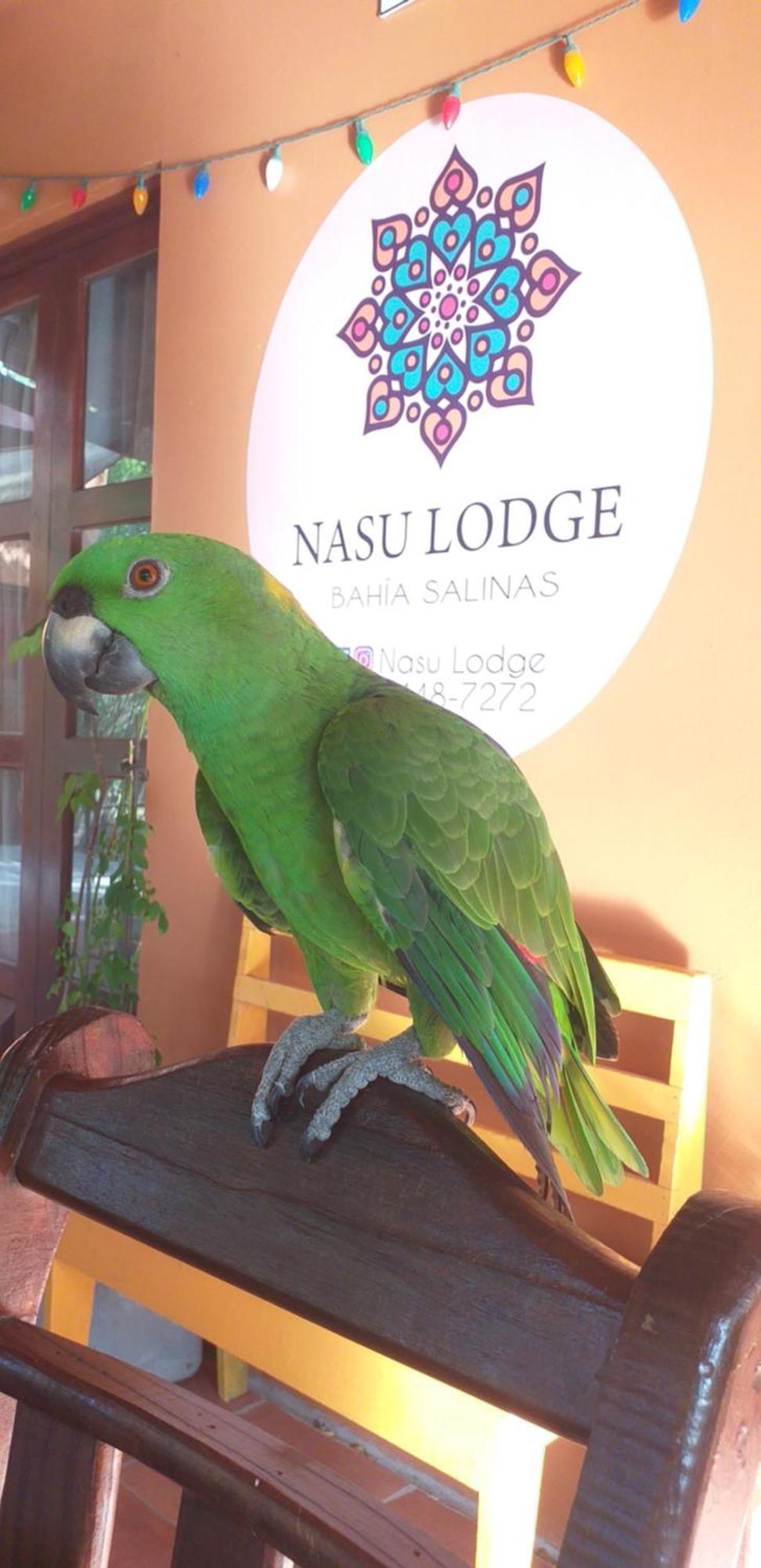 Nasu Lodge Ла-Крус Экстерьер фото